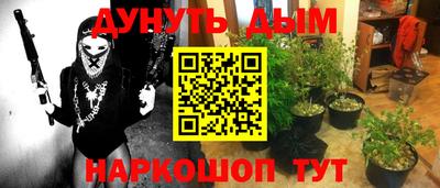 гашиш Кингисепп