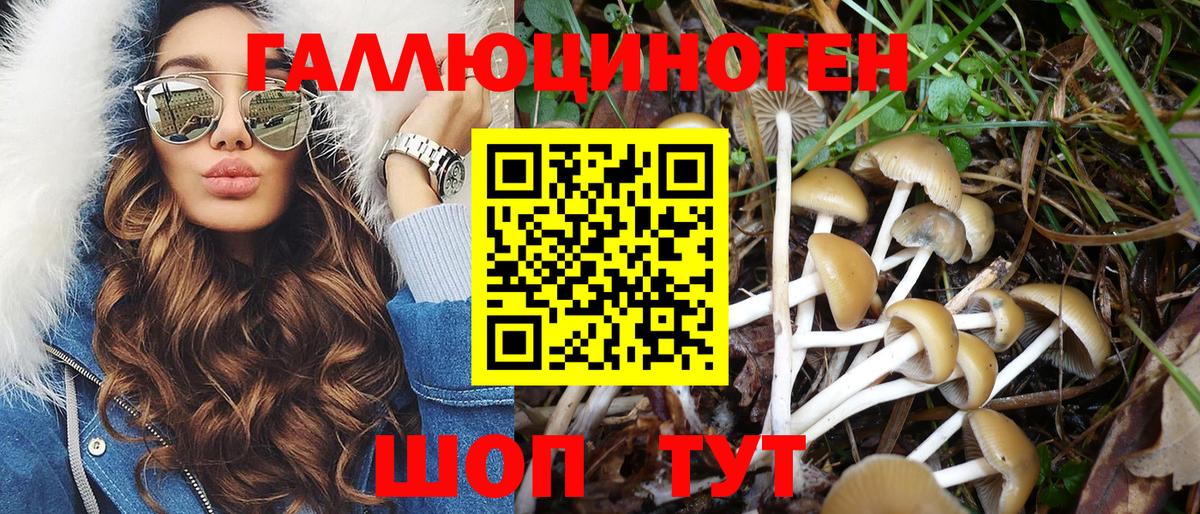 Галлюциногенные грибы прущие грибы  цены   Лесозаводск  Вход с VPN  Галлюциногенные грибы Psilocybine cubensis 